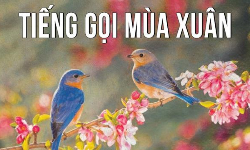 Truyện ngắn: Tiếng gọi mùa xuân (Tác giả: Từ Nguyên Tĩnh)