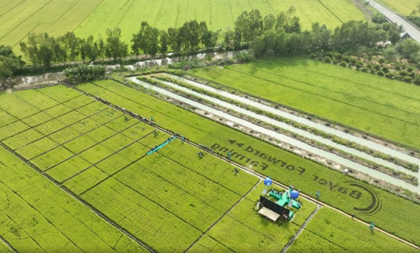 Ngành Trồng trọt bước vào giai đoạn phát triển xanh