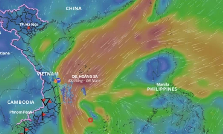 Chủ động ứng phó bão số 10