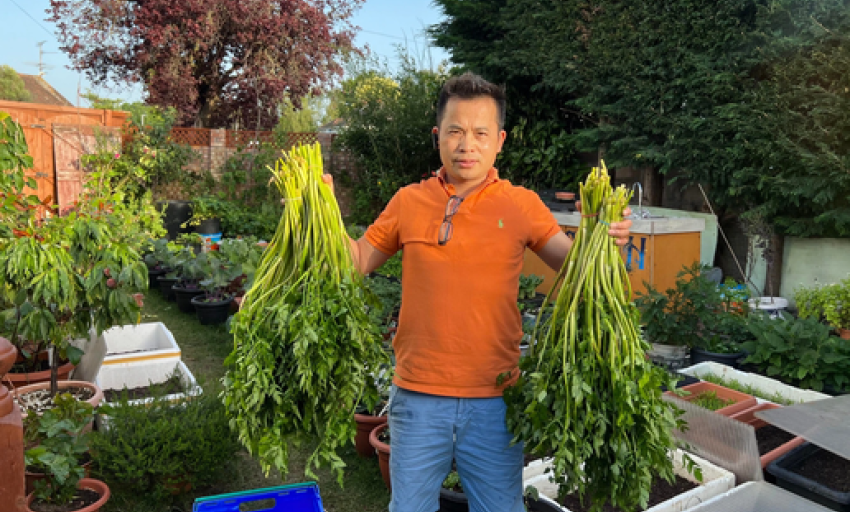 Ông bố Việt làm vườn di động hơn 100 loại rau, nấu đủ món đón Tết ở Anh