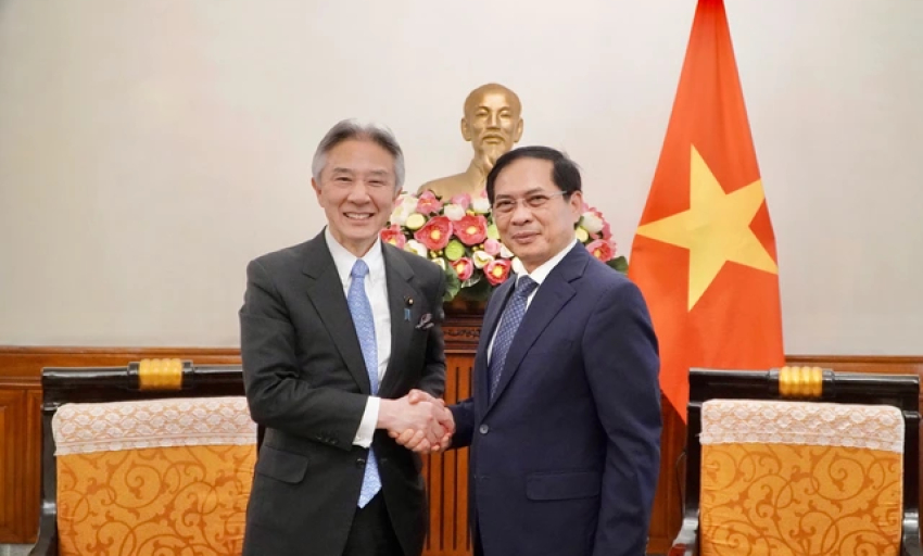 Nhật Bản muốn hỗ trợ Việt Nam bảo tồn di sản