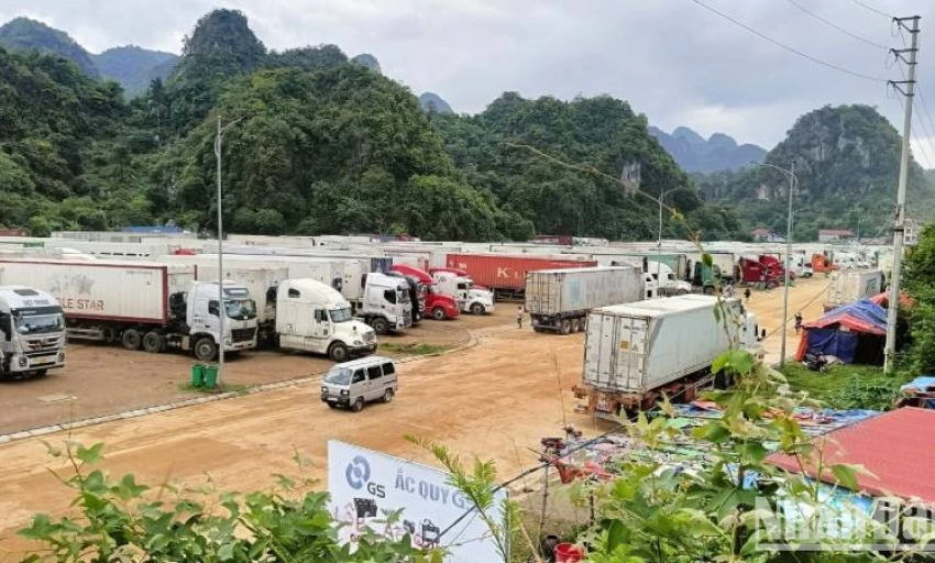 Mỗi ngày tồn gần 1.000 xe chở hàng xuất khẩu qua các cửa khẩu ở Lạng Sơn