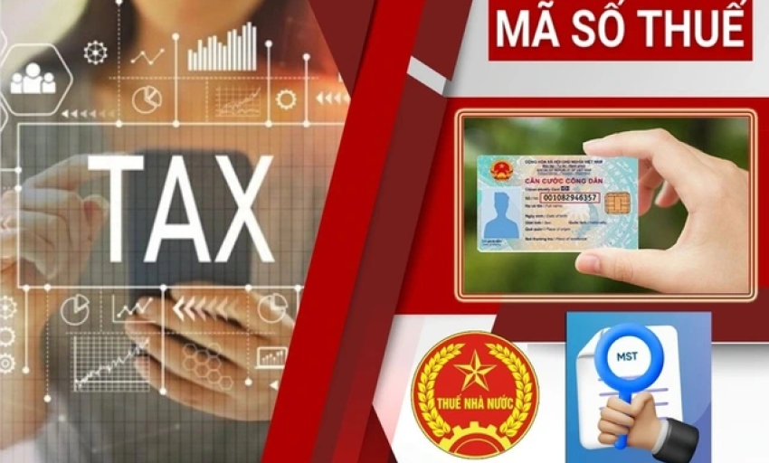 Cục Thuế hướng dẫn chi tiết dùng số định danh thay mã số thuế