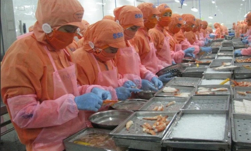 Mất 10.000 USD xin chứng nhận, thủy sản Việt 'lép vế' tại thị trường Halal