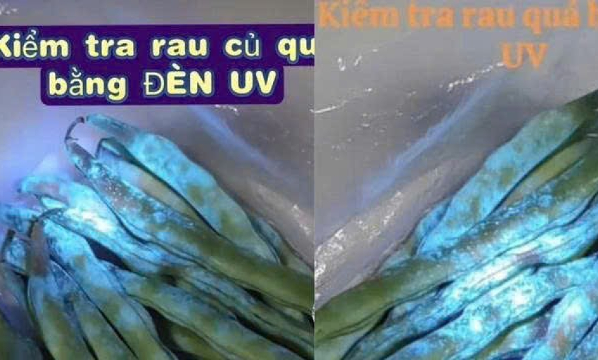 Sự thật đèn UV phát hiện thuốc trừ sâu: Chiêu trò bán hàng hay công nghệ thật?