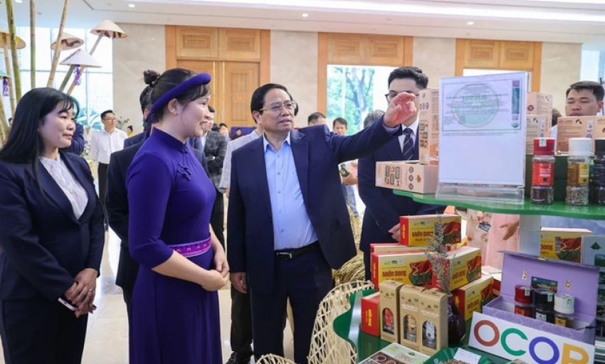 Thủ tướng mong nông dân tiên phong thoát nghèo, thi đua làm giàu
