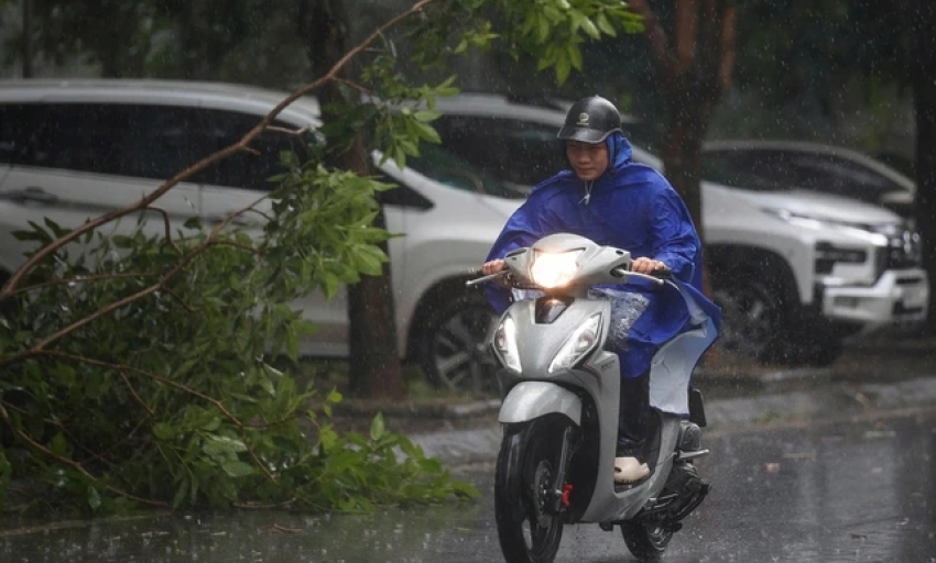 Bão số 3 (Wipha): Hà Nội và 5 tỉnh trong vùng trọng tâm mưa lớn 600 mm