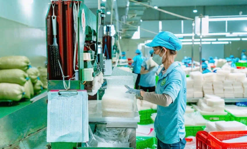 Giá gạo giảm mạnh, doanh nghiệp xuất khẩu bún, phở, bánh tráng… kỳ vọng thắng lớn