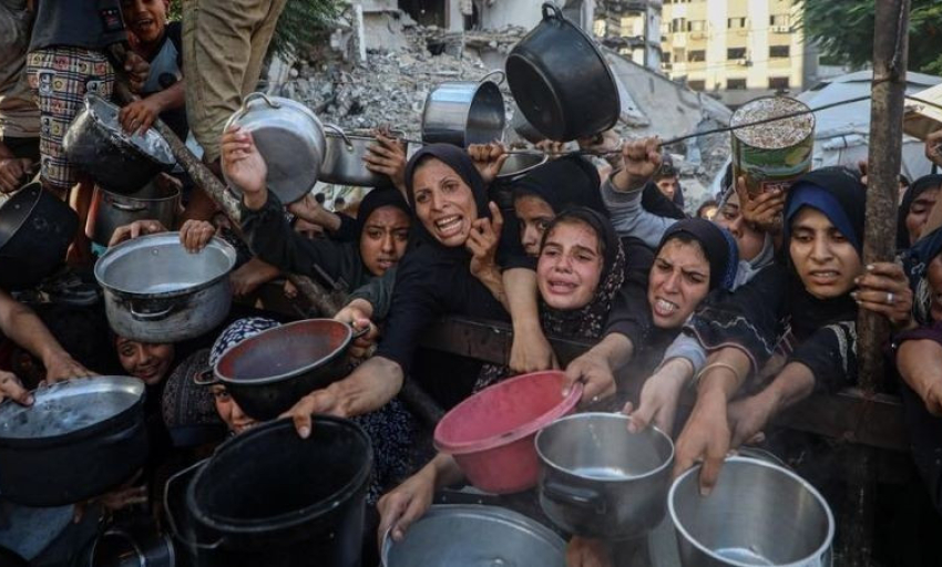 Tình hình thảm khốc tại Gaza: Phải hành động khẩn cấp