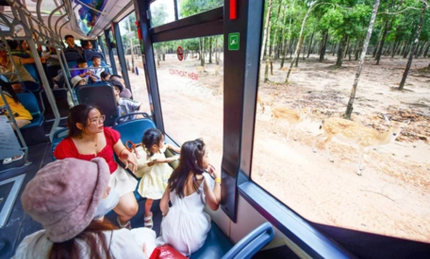 Tour du lịch hè bước vào cao điểm, cần tránh bẫy tour giá rẻ