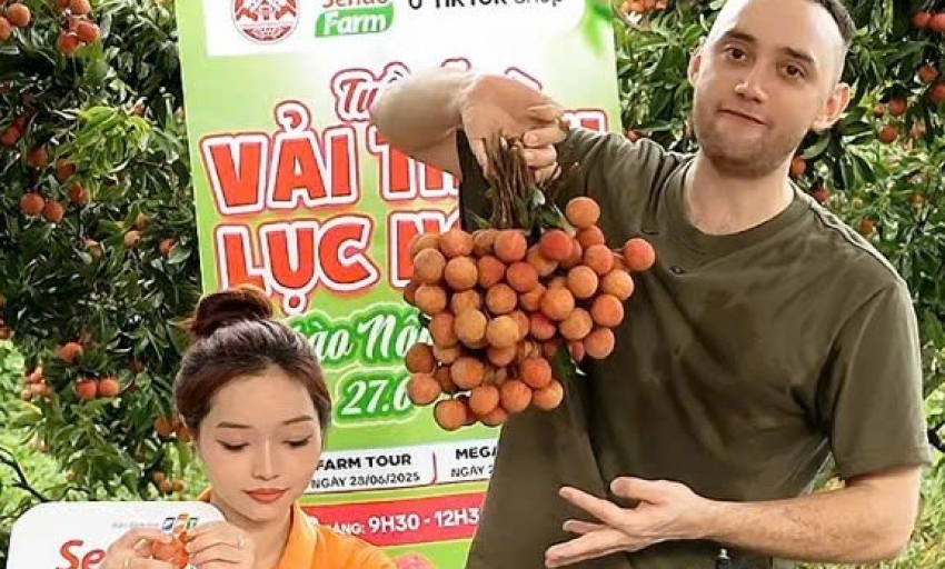 Vải thiều dội chợ rớt giá, đưa lên livestream lại "cháy hàng"