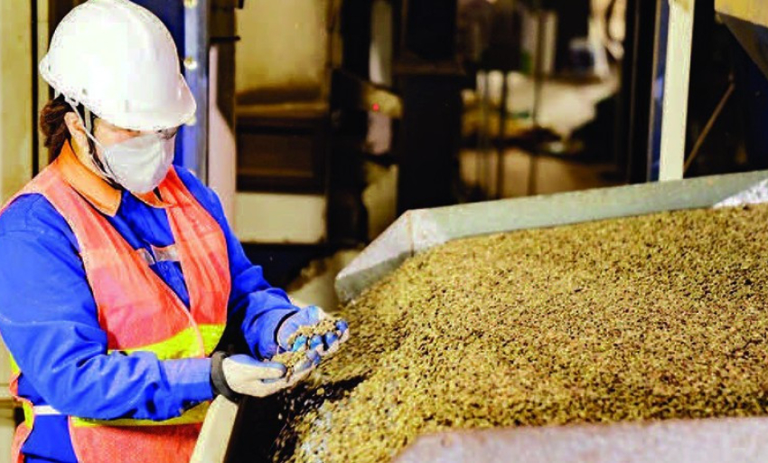 Xuất khẩu cà-phê xác lập kỷ lục mới