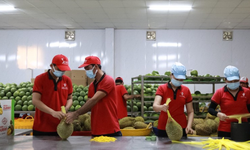 Xuất khẩu nông sản hướng tới mục tiêu 70 tỷ USD