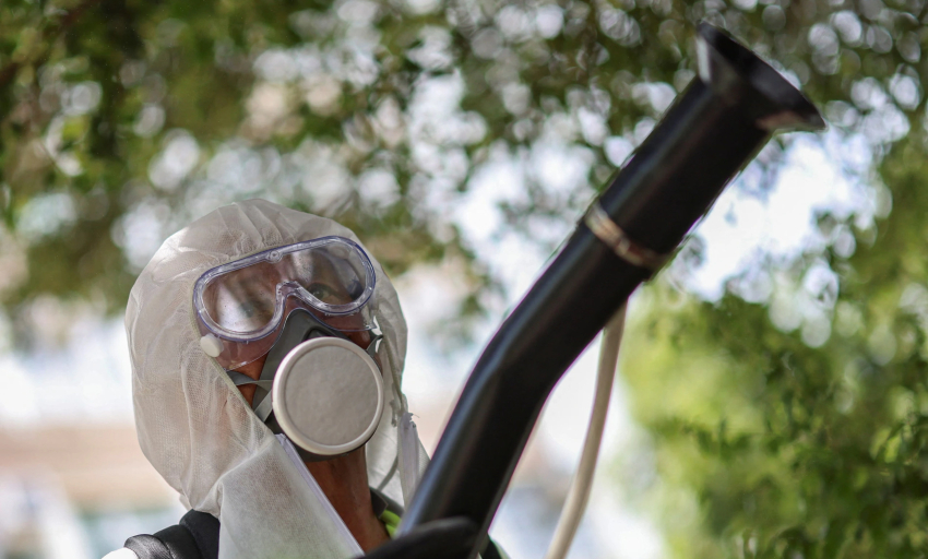 Báo động vi rút chikungunya tiếp tục lan rộng ở Trung Quốc