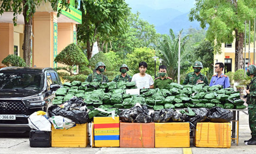 Bắt giữ đối tượng vận chuyển, tàng trữ 240kg cần sa khô