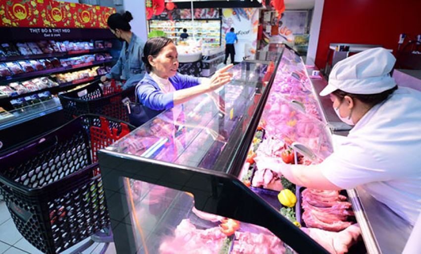 Cấp tốc ngăn dịch tả heo châu Phi