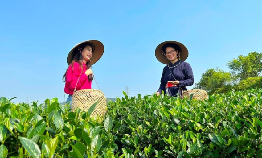Chung tay nâng tầm sản phẩm OCOP
