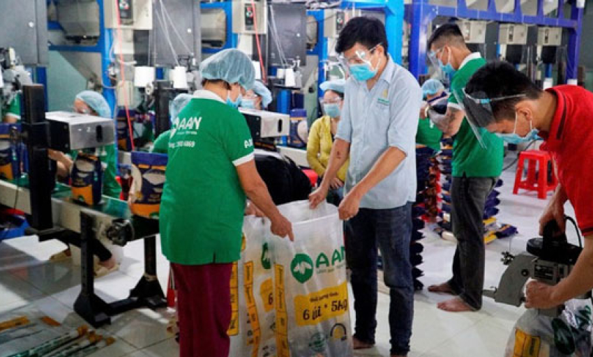 Kỳ vọng xuất khẩu gạo vào thị trường mới