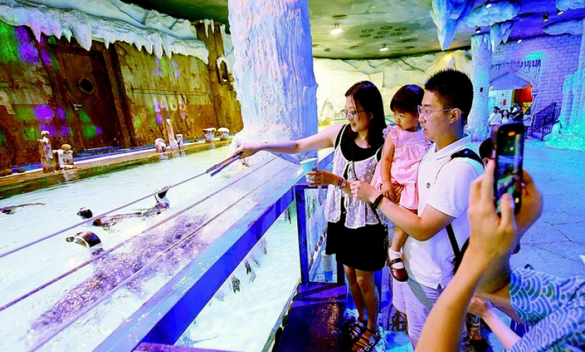Người ta cưới nhau để làm gì?