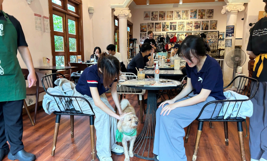 Quán cà phê lúc nào cũng đông kín khách nhờ những 'nhân viên' đặc biệt này...