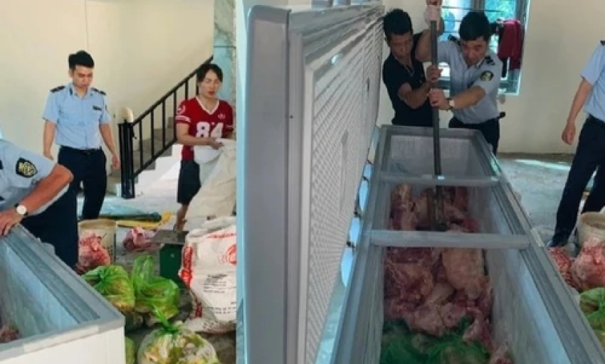 Thanh Hóa triệt phá đường dây tuồn thịt nhiễm tả lợn châu Phi ra thị trường