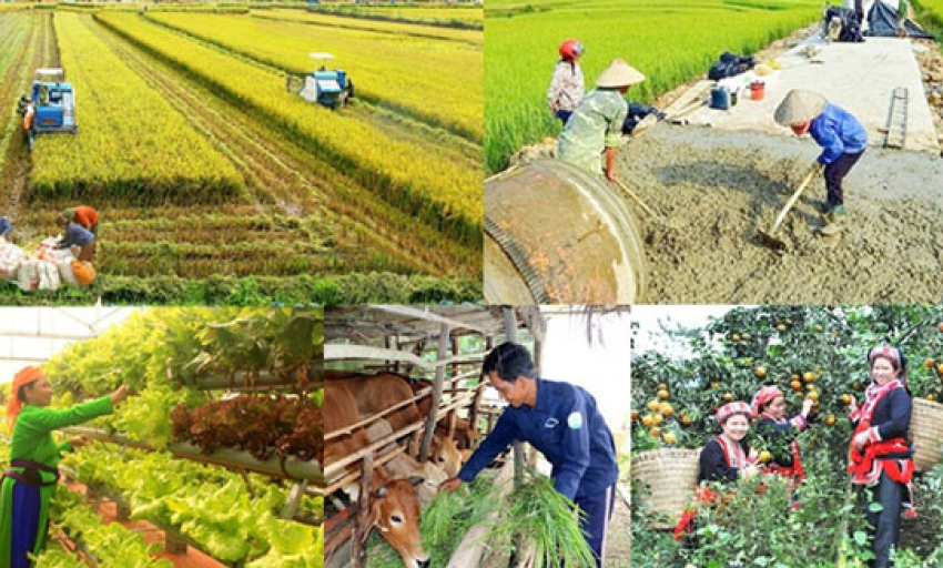 Chương trình MTQG vùng dân tộc thiểu số và miền núi: Hoàn thiện pháp lý, tăng tốc giải ngân