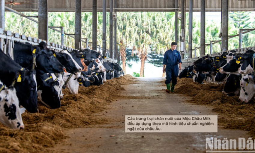Tài sản vô hình: Nguồn lực phát triển của doanh nghiệp