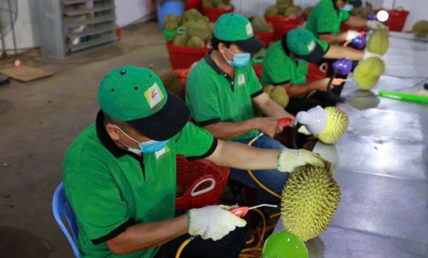Tăng cường quản lý chất lượng nông sản xuất khẩu