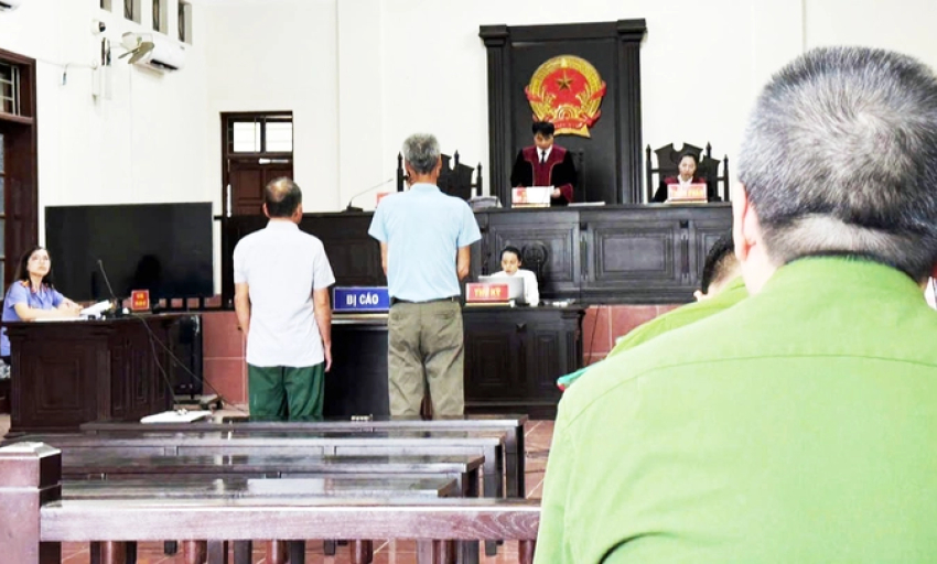 Trưởng thôn không tư lợi vẫn bị phạt tù