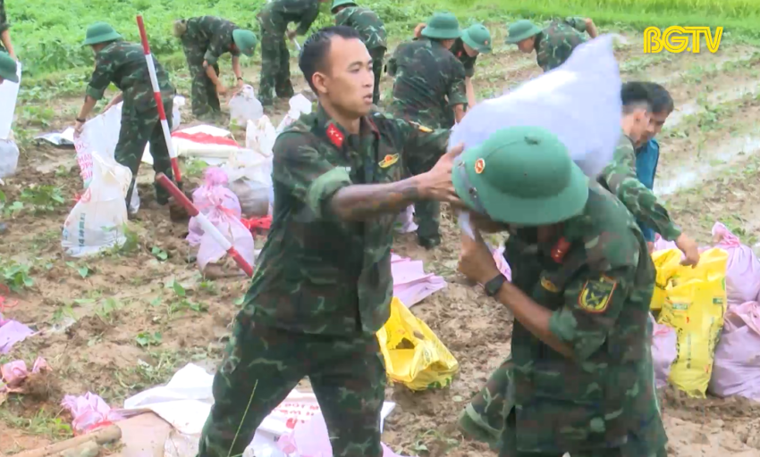 Bộ đội cụ Hồ trong thời bình
