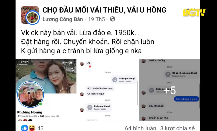 Góc nhìn thẳng: Cảnh báo về lừa đảo tiêu thụ vải thiều