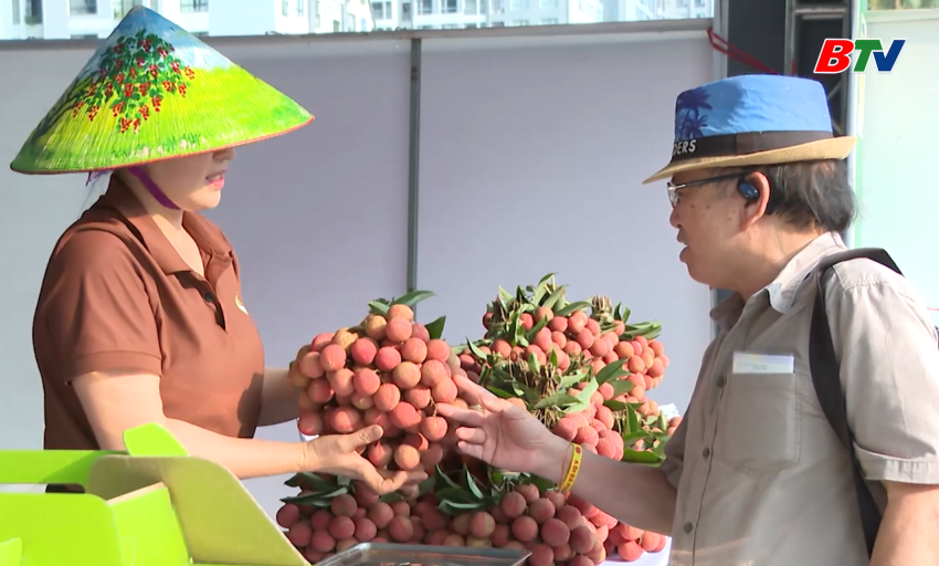 Mùa vụ vải thiều bội thu