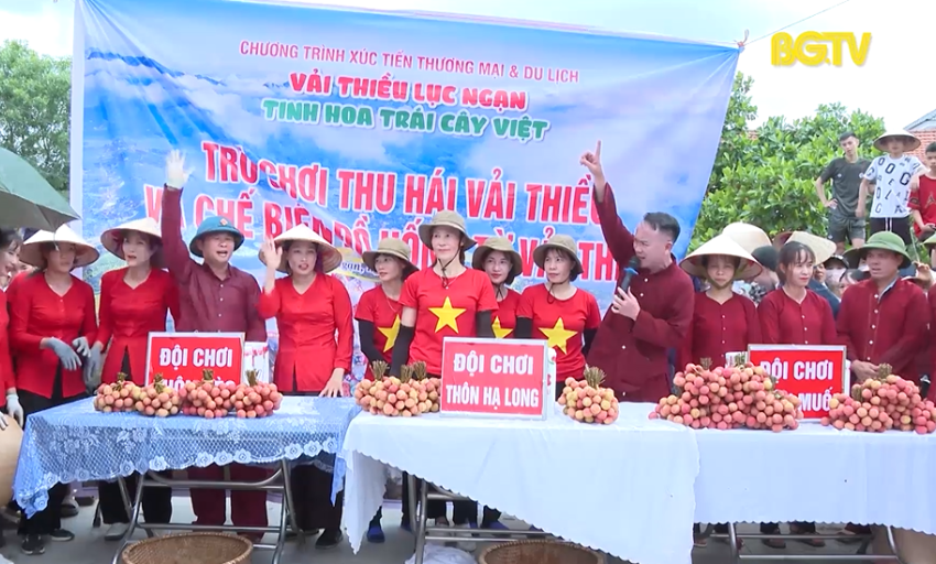 Sôi nổi cuộc thi thu hái và chế biến vải thiều Lục Ngạn 