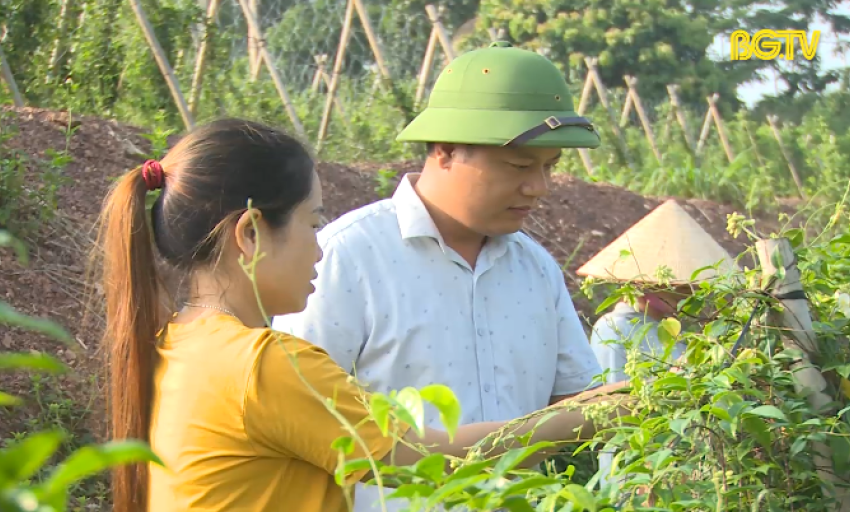 Tân Yên phát triển mạnh kinh tế tập thể