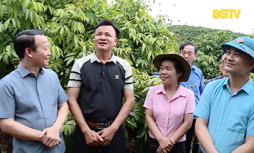 Tạo luồng xanh tiêu thụ vải thiều