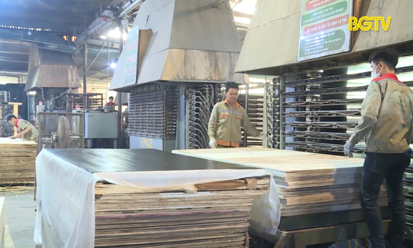 Tạp chí Kinh tế: Gỡ khó cho các doanh nghiệp chế biến gỗ