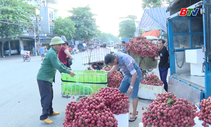 Tạp chí NNNT: Nhìn lại những khó khăn tiêu thụ vải thiều