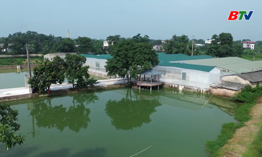 Tạp chí Nông nghiệp và Môi trường: Quyết liệt phòng chống dịch tả lợn Châu phi