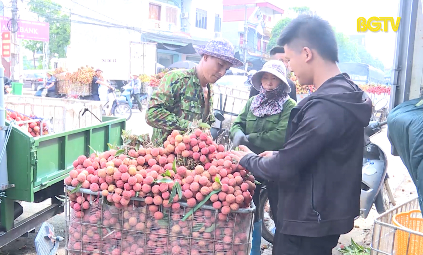 Xúc tiến Công thương: Đẩy mạnh tiêu thụ vải thiều
