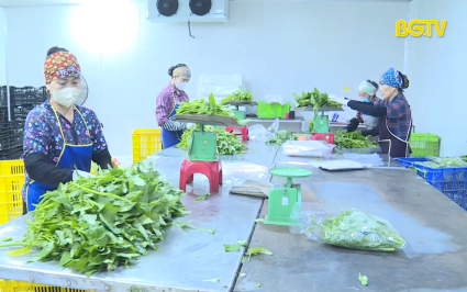 100% hộ hội viên nông dân cam kết sản xuất bảo đảm an toàn thực phẩm 