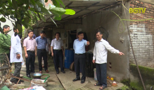 Chấn chỉnh công tác phòng chống bệnh dịch tả lợn Châu Phi