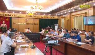 Khắc phục hạn chế,  tăng cường phòng chống dịch tả lợn Châu Phi
