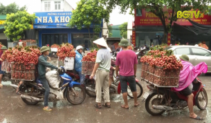 Tạo điều kiện thuận lợi cho thương nhân Trung Quốc thu mua vải thiều