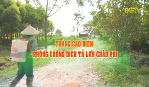 Tháng cao điểm phòng chống dịch tả lợn Châu Phi