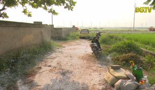 Triển khai tháng cao điểm phòng chống bệnh dịch tả lợn Châu Phi