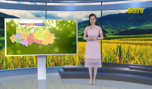 Trang truyền hình địa phương ngày 29 - 07 - 2019