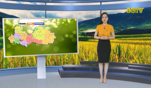 Trang truyền hình địa phương ngày 22 - 07 - 2019