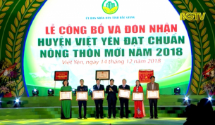 Lễ công bố và đón nhận huyện Việt Yên đạt chuẩn nông thôn mới