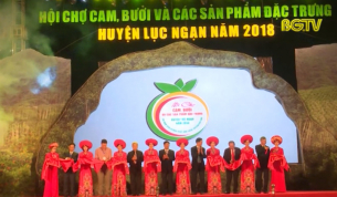 Khai mạc Hội chợ cam, bưởi và sản phẩm đặc trưng