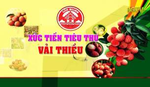 PV PCT UBND tỉnh Dương Văn Thái về xúc tiến tiêu thụ Vải thiều 